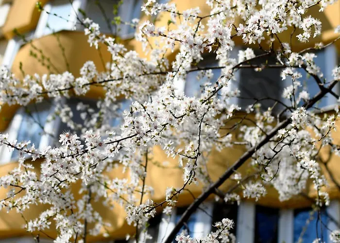 Modern Semi-central 1 Bedroom Apartment, 3 Parks Nearby בוקרשט