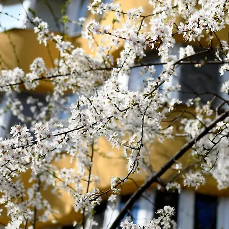 Modern Semi-central 1 Bedroom Apartment, 3 Parks Nearby Boekarest