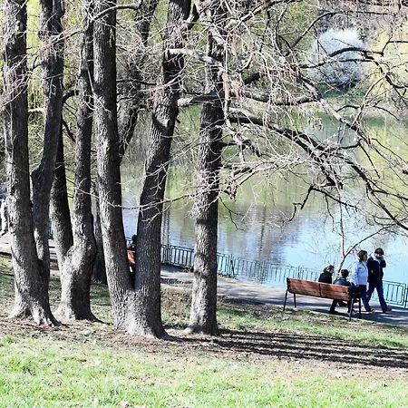 Modern Semi-central 1 Bedroom Apartment, 3 Parks Nearby Apartment Bucharest